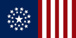 Flagge der USA